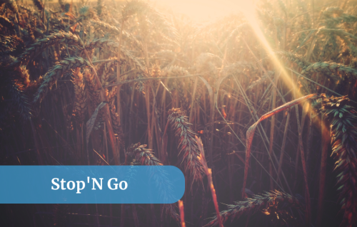 Stop n go